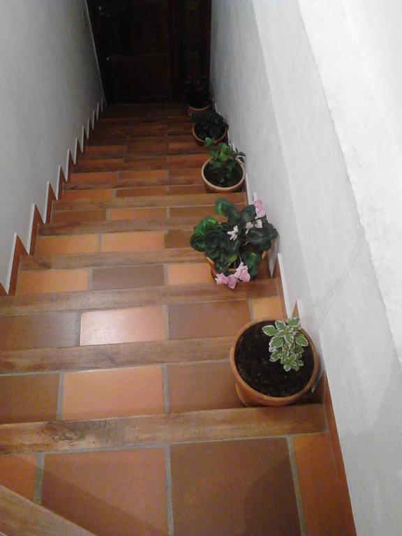 וילה דה לייבה Cemandy Hostal מראה חיצוני תמונה